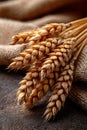 Close-up of wheat ears on burlap surface with rustic texture and golden hues Royalty Free Stock Photo