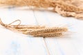 Close up wheat ears on white background Royalty Free Stock Photo