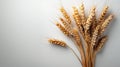 Close-up of wheat sheaves on white background - generative ai Royalty Free Stock Photo