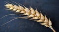 Close up of wheat stalk