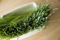 Close up wheatgrass in pot Royalty Free Stock Photo