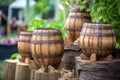 close-up of whiskey barrel bungs and bungholes