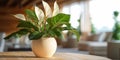 Close up of white anthurium with leaves in wooden vase generative AI