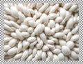 Close-up of white beans Royalty Free Stock Photo