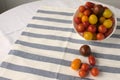 Close up of white bowl with selection of assorted cherry tomatoes, more tomatoes on white and blue plaid cloth