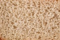 Close-up of white bread background texture Royalty Free Stock Photo