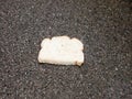 Close up of white bread on wet pavement floor dropped