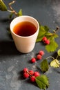 Top view teacup and hawthorn berries Royalty Free Stock Photo