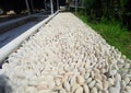 A close-up of white dirty gravel or river stones