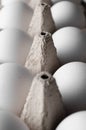 Close-up of white eggs in an egg carton Royalty Free Stock Photo