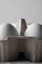 Close-up of white eggs in an egg carton Royalty Free Stock Photo