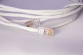 Close up of white ethernet cable with RJ45 connector, simple network cable detail for internet connection and basic IT use Royalty Free Stock Photo