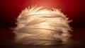 Close-up of White Feathers Royalty Free Stock Photo