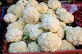 White fresh cauliflower on the eastern bazaar