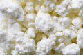 Close-up of white fresh cottage cheese. Macro background for ingredient, gastronomy, dietary and dairy. Monochrome. Horizontal