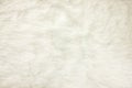 Close up at white fur fabric texture background Royalty Free Stock Photo