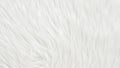 A close up of a white fur texture (AI Generated) Royalty Free Stock Photo
