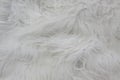 Close up of white fur texture. White wool carpet. Royalty Free Stock Photo