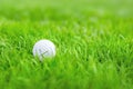 Close-up of white golf ball in green grass meadow . Details of game course . Resort with sport outdoor activitie Royalty Free Stock Photo