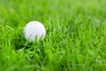 Close-up of white golf ball in green grass meadow. Details of play field. Badly prepared lawn for professional game Royalty Free Stock Photo