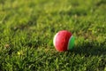 Golf ball on green grass texture of golf course for background