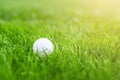 Close-up of white golf ball in green grass meadow. Details of play field. Resort with sport outdoor activities concept Royalty Free Stock Photo