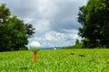 Close up of white golf ball on orange tee on green grass with blue sky and cloud. copy space for your text Royalty Free Stock Photo