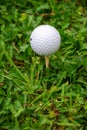 Close-up of white golf ball on tee, in green grass, vertical, Royalty Free Stock Photo