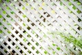 White lattice fence.