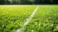 Close-Up of White Line on American Football Field Royalty Free Stock Photo