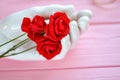 Close up white manneqin hand with rose flowers. Royalty Free Stock Photo