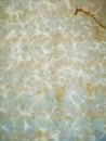 Close up white marble texture for interiors and design Royalty Free Stock Photo