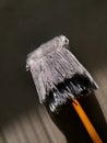 a white mop with an orange handle Royalty Free Stock Photo