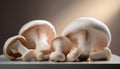 Close-up of white mushrooms on a table with soft lighting Royalty Free Stock Photo
