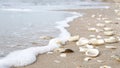 Close up of White ocean wave, sea wave on the beach with shells