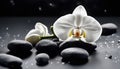 Close up of white orchid with basalt stones on black colored background Royalty Free Stock Photo