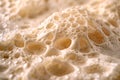 Close-up of white organic porous surface macro nature wallpaper background