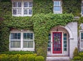 Close-up of white painted brick house with arched entrance and red French door almost covered with ivy with landscape bushed at Royalty Free Stock Photo