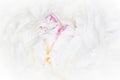 close up of white peony flower Royalty Free Stock Photo