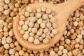 Close up white pepper and wooden spoon as background Royalty Free Stock Photo