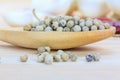 Close up white pepper in wooden spoon Royalty Free Stock Photo