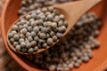 White pepper on wooden spoon, most important flavorings in East Asia