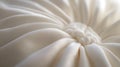 A close up of a white pillow with a swirl pattern Royalty Free Stock Photo