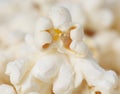 A close up of a white popcorn kernel Royalty Free Stock Photo