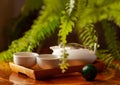 Close up of White porcelain Asian tea set with green Japan tea with baoding ball and fern plant leaves. Selective focus Royalty Free Stock Photo