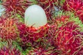 Close up of white pulp rambutan among red Royalty Free Stock Photo