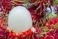 Close up of white pulp rambutan among red Royalty Free Stock Photo