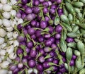 Close up white,purple and green eggplant display