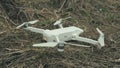 Close-up of white quadrocopter on ground in grass. Modern drone unmanned aerial vehicle with propellers. Royalty Free Stock Photo