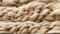 close up of white raw sheep wool texture Royalty Free Stock Photo